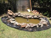 Fishpond at Kirriwa